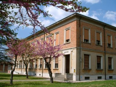 Museo Civico Archeologico di Castelnovo Bariano